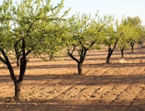 Begin carbon farming by reducing erosion